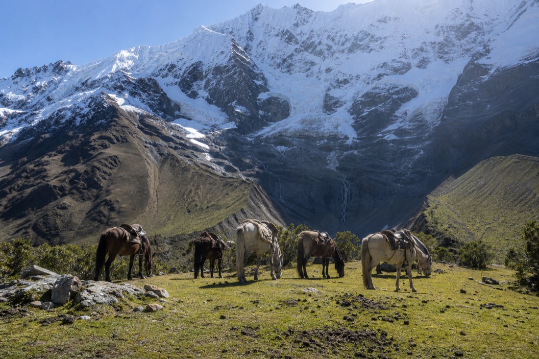 A flat upper meadow where trail horses stop below Humantay, steep rocky switchbacks climbing beyond toward a glacier, morning light, no people in focus