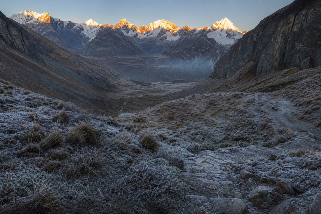 Frosted grass and a rocky switchback trail at Soraypampa in early dawn light, snow peaks catching the first sun
